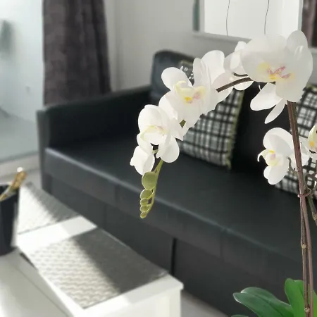 Le Luxe Au Soleil Face à La Apartamento Torremolinos